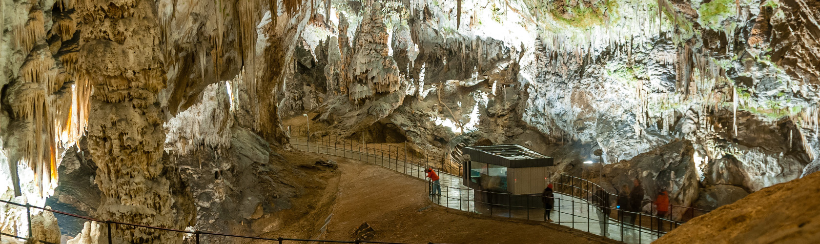 Grotten van Postojna (Postojna Cave)