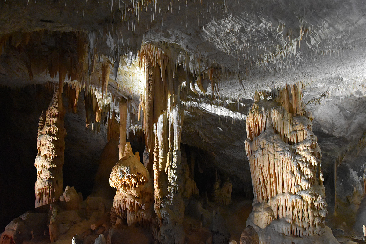 De grotten van Postojna in Slovenië