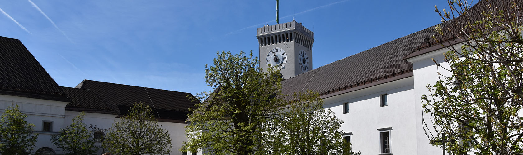 Kasteel van Ljubljana (Ljubljanski Grad)