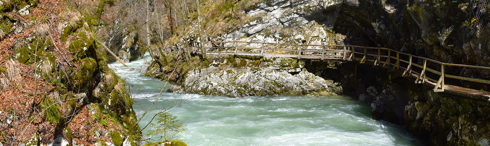 Vintgarkloof (The Vintgar gorge)