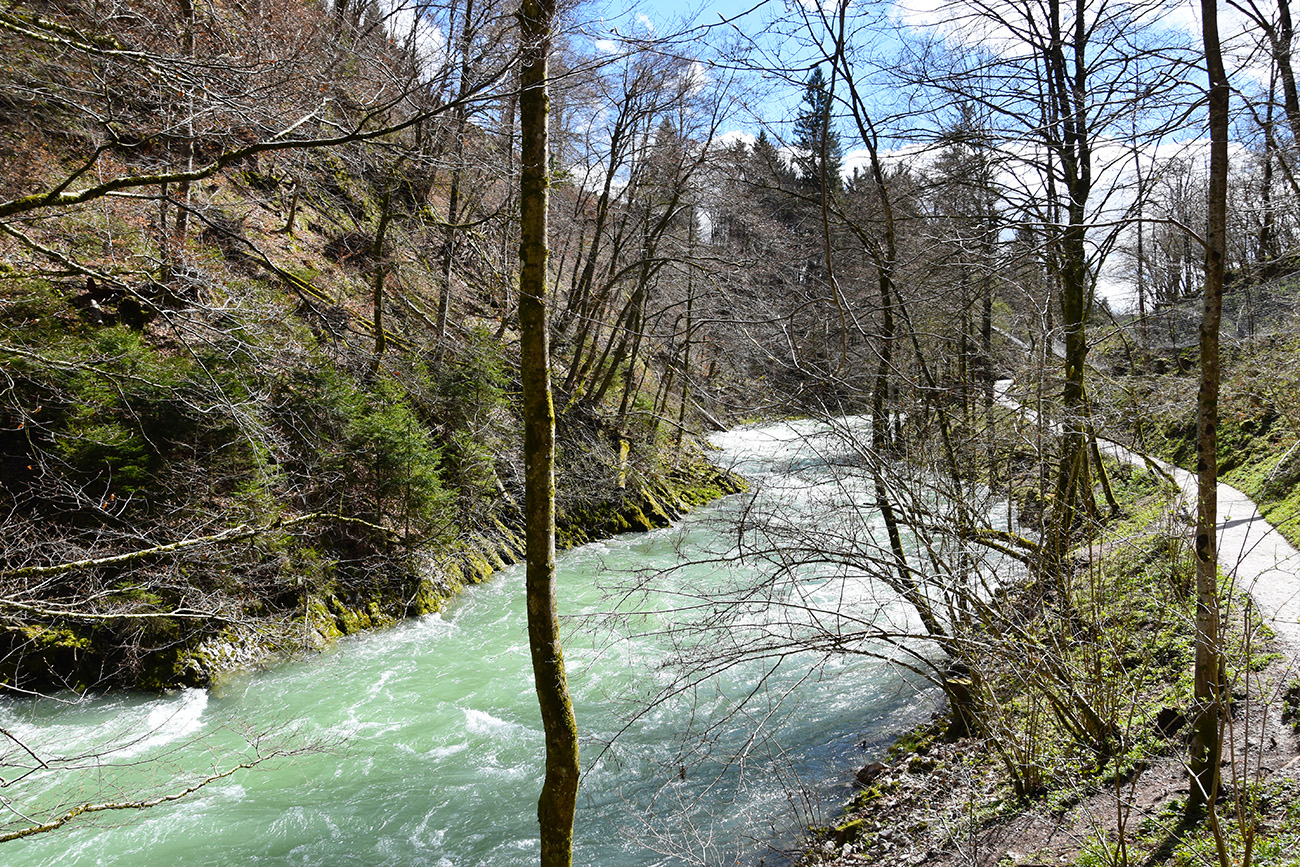 Vintgar Kloof in Slovenië