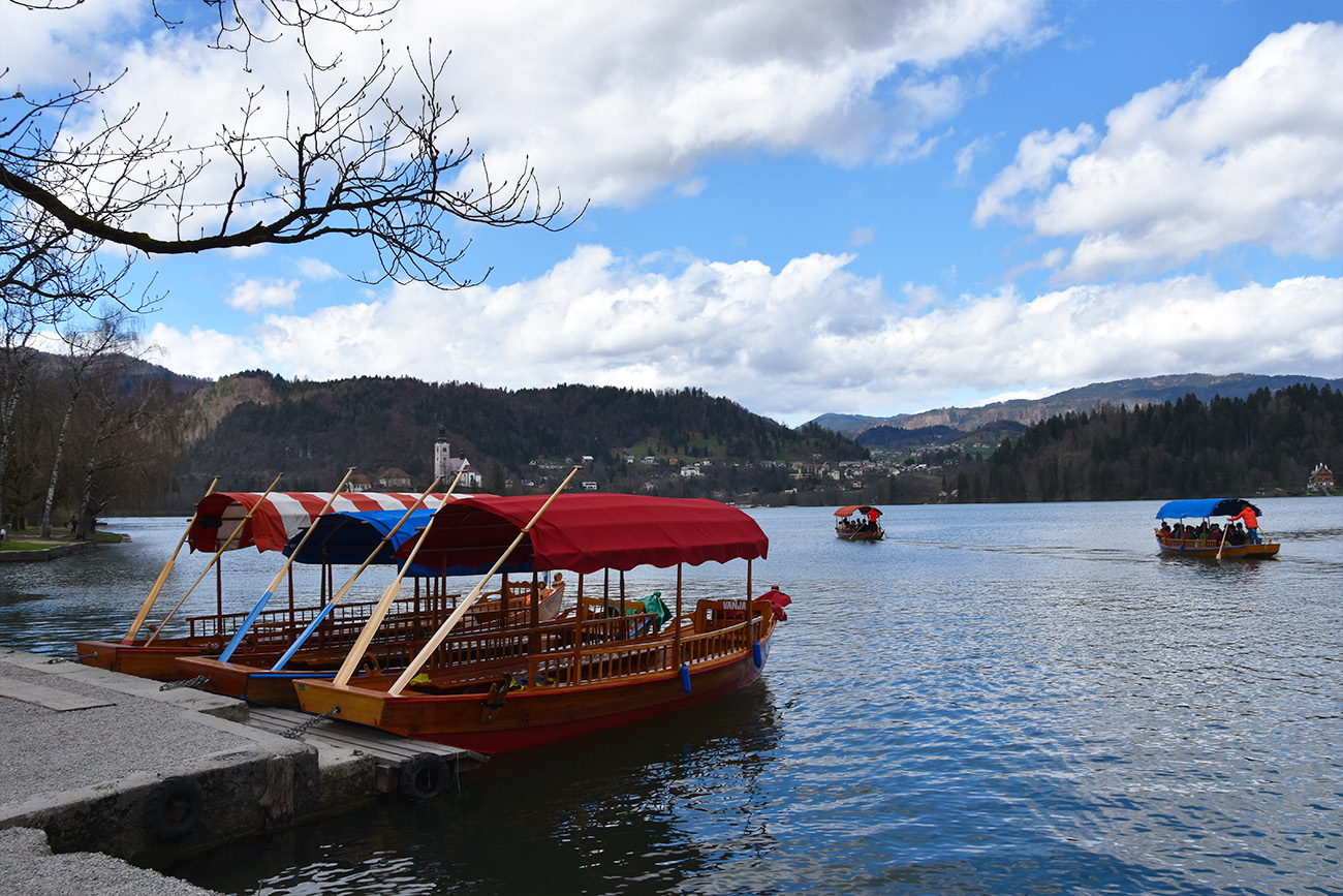 Bootje varen op het meer van Bled in Slovenië