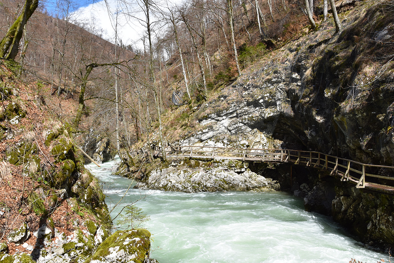 Vintgar Kloof in Slovenie