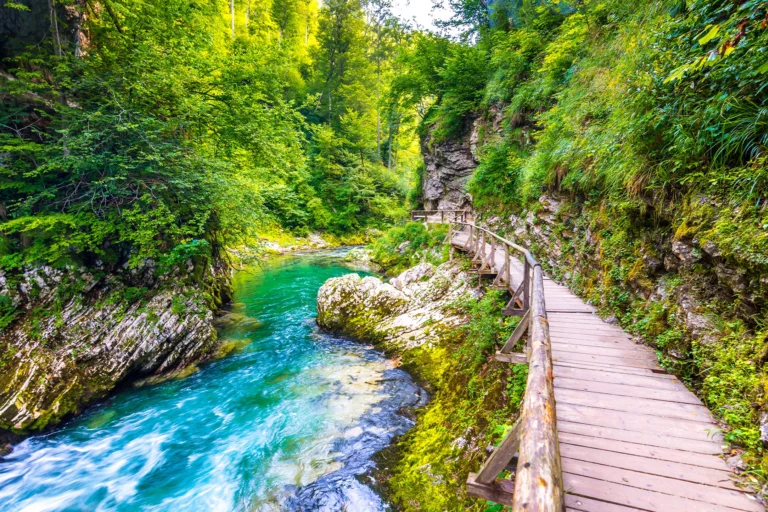 De Vintgar kloof in Slovenië